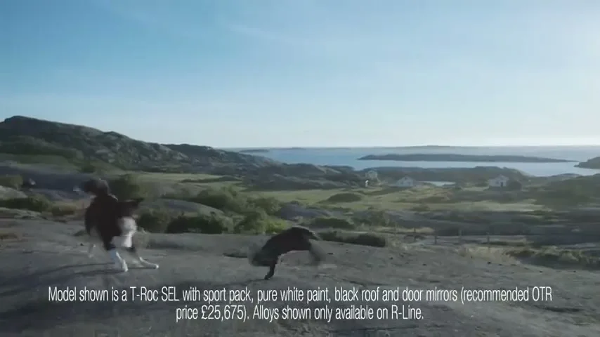 A border collie and a lamb play on a rocky hill overlooking a bay with small islands and houses under a clear blue sky.