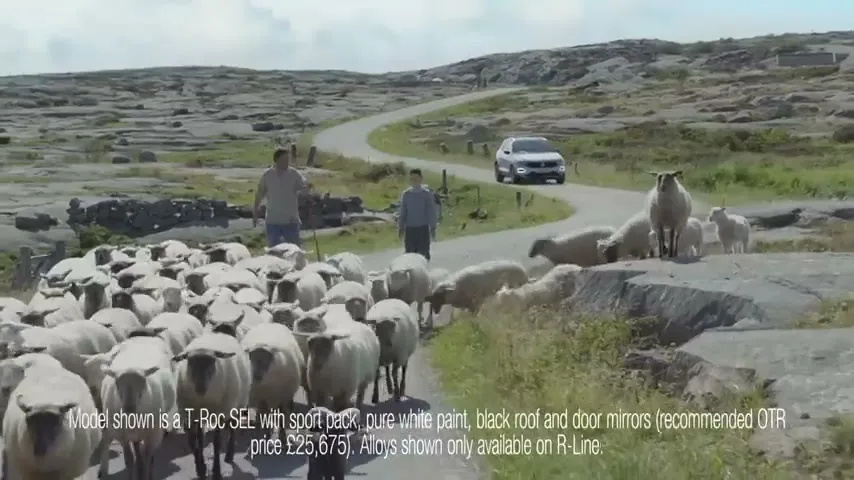 A man and a boy herd a flock of sheep down a winding country road as a white Volkswagen car approaches in the distance.