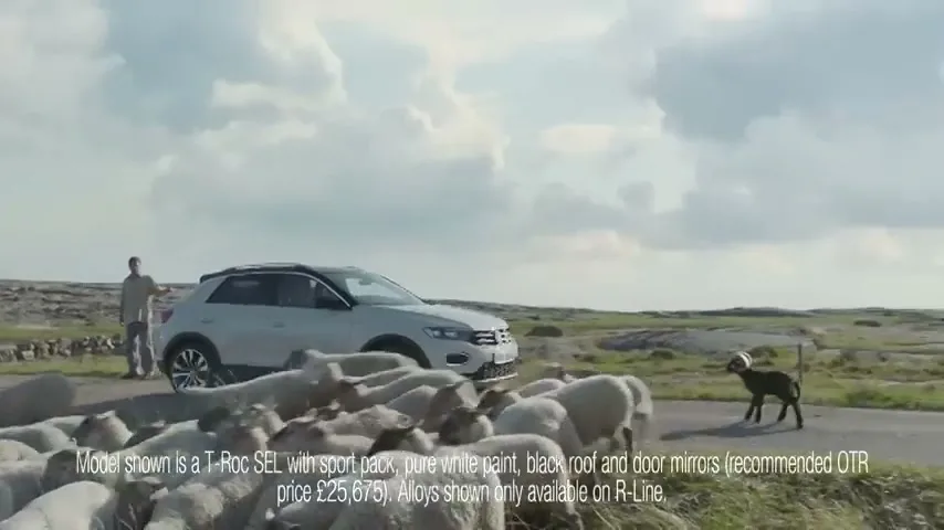 A man stands next to a white Volkswagen T-Roc as a flock of sheep and a small lamb cross a rural road in a wide, open landscape.