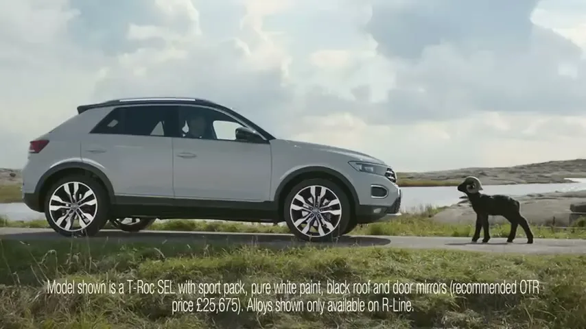 A white Volkswagen T-Roc is parked on a coastal road, with a small black lamb standing next to it, under a cloudy sky.