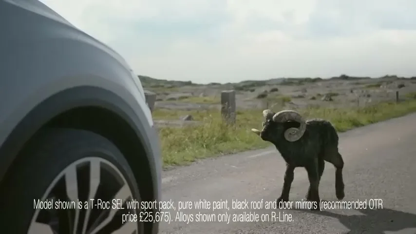 A small, dark lamb with large ram horns stands on a rural road, looking at the front of a silver car on a sunny day.