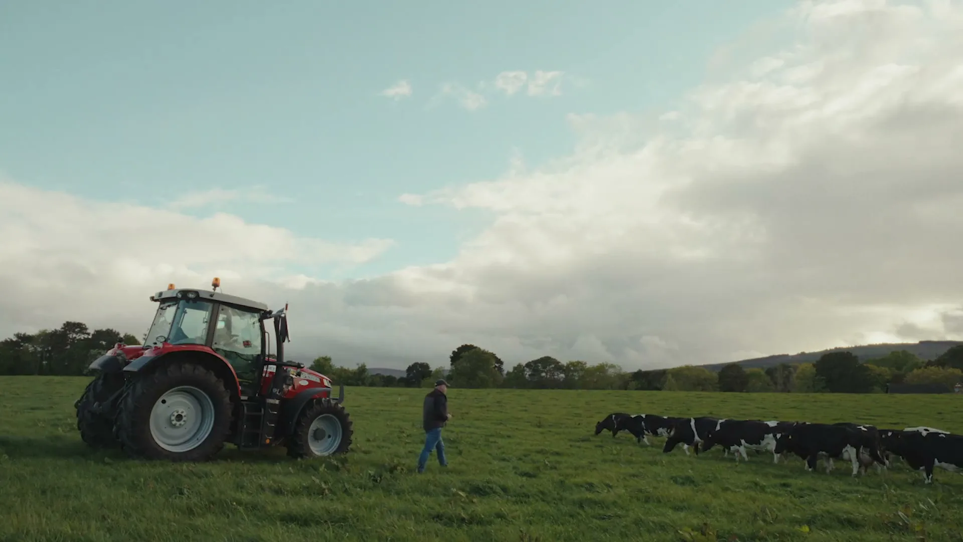 Dairygold “Joy that Spreads” (2026), frame 5