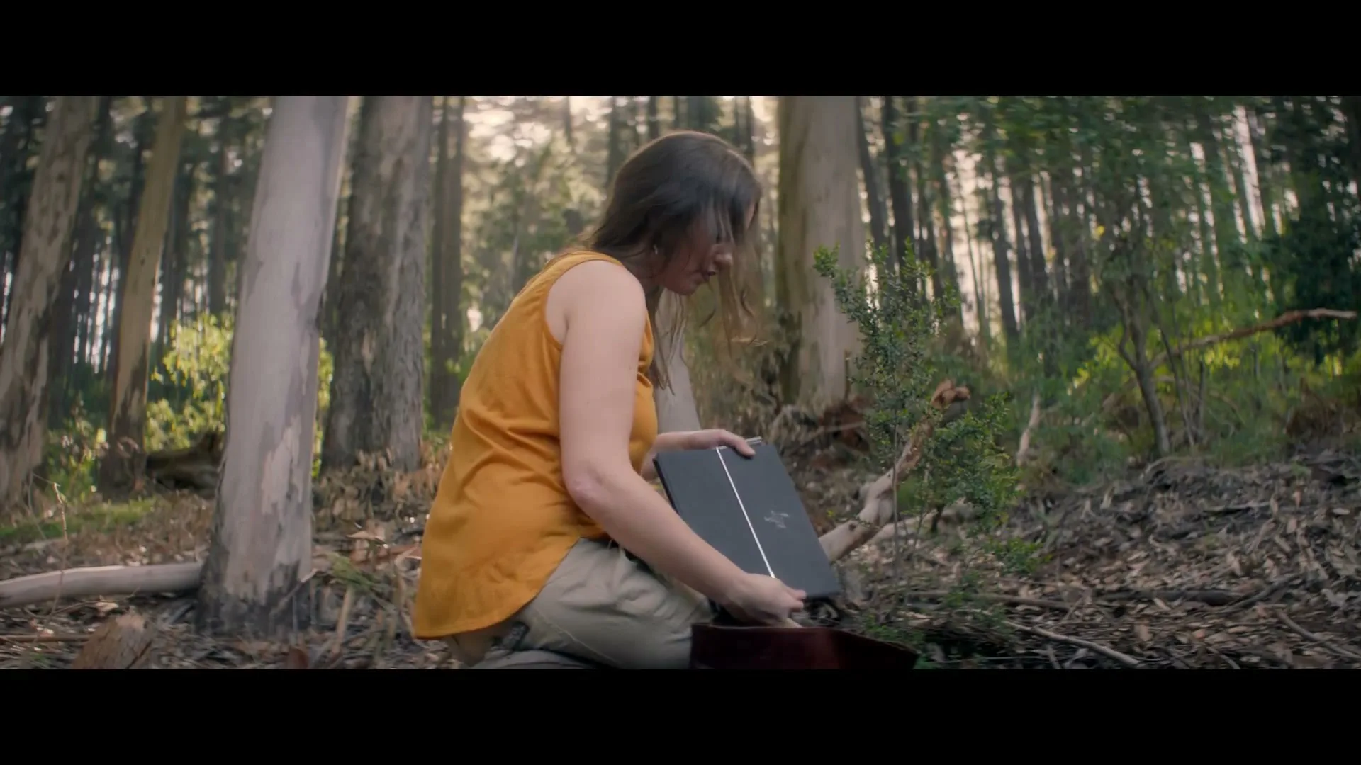 Hewlett-Packard “Forest” (2026), frame 3