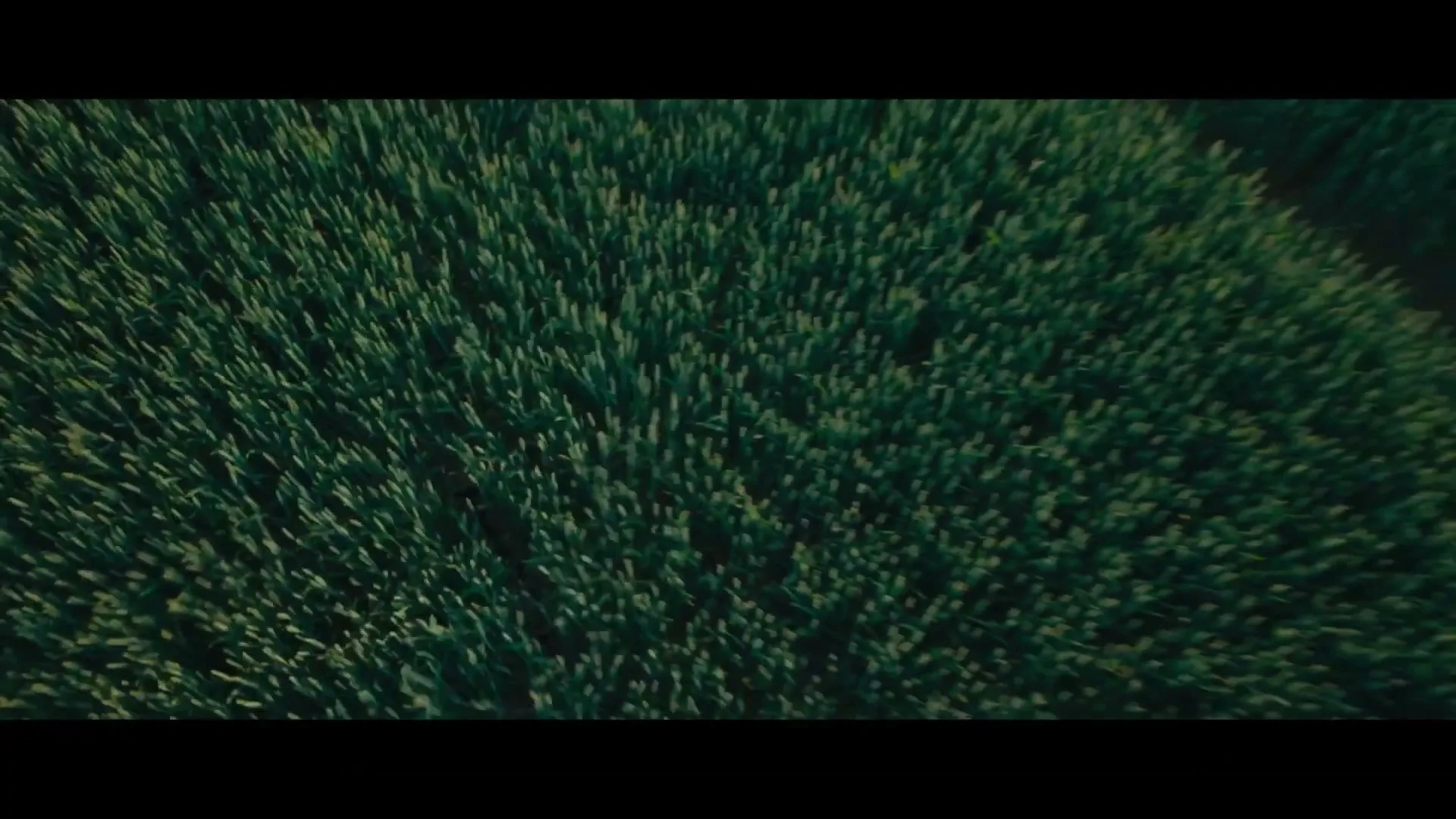 Lantmännen “Long Live the Soil”, directed by Per-Hampus Stålhandske