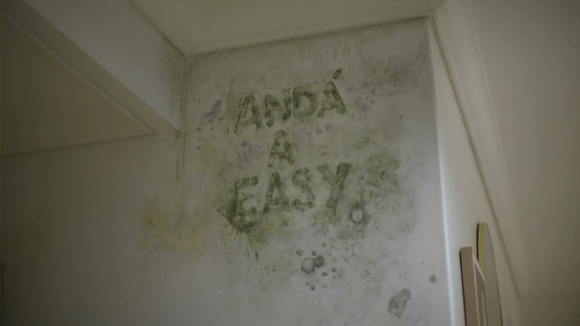 Easy “a todo: Pared” (2025)