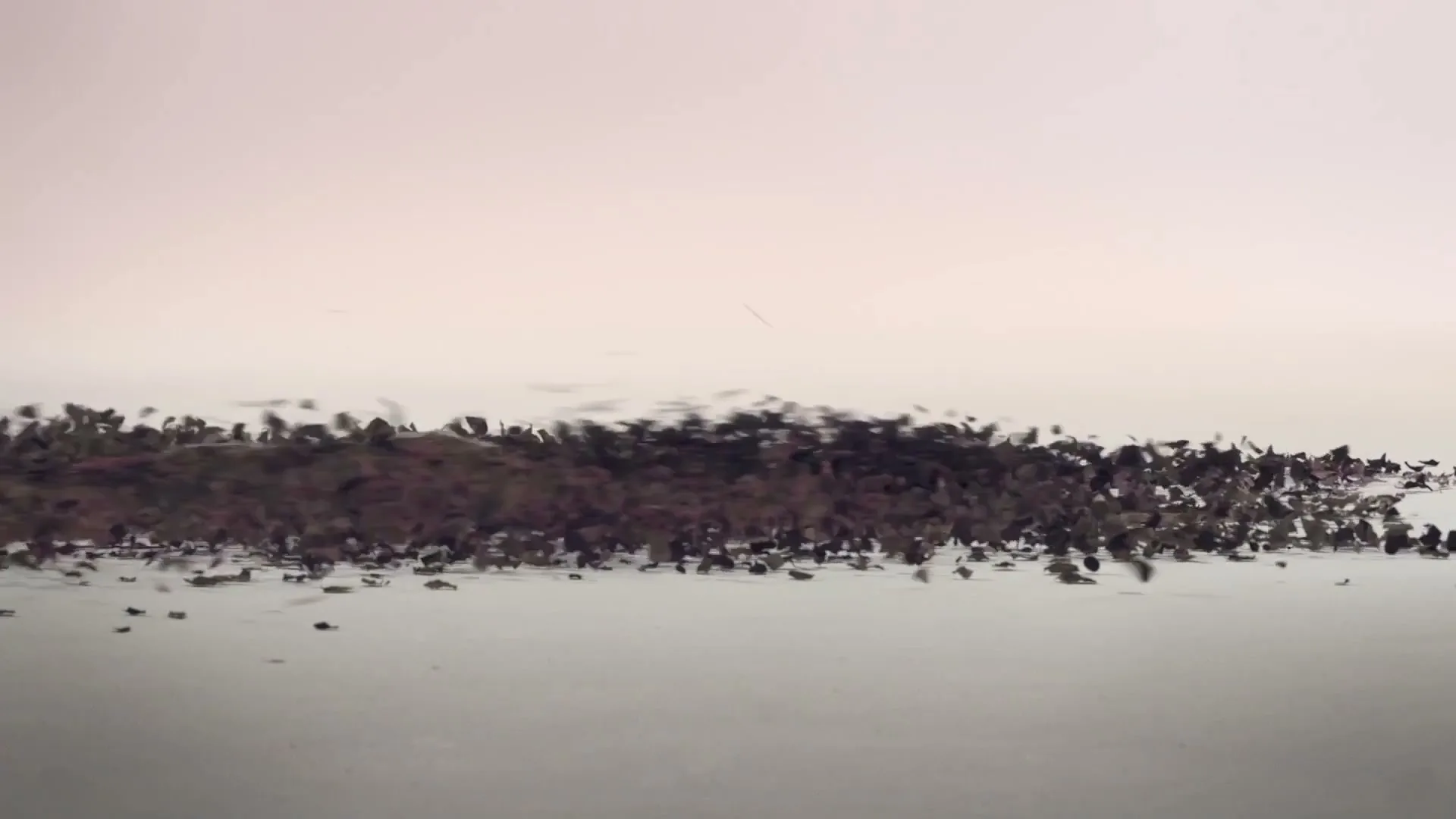 Dr. Hauschka "In Rhythm With Nature" (2020) commercial still