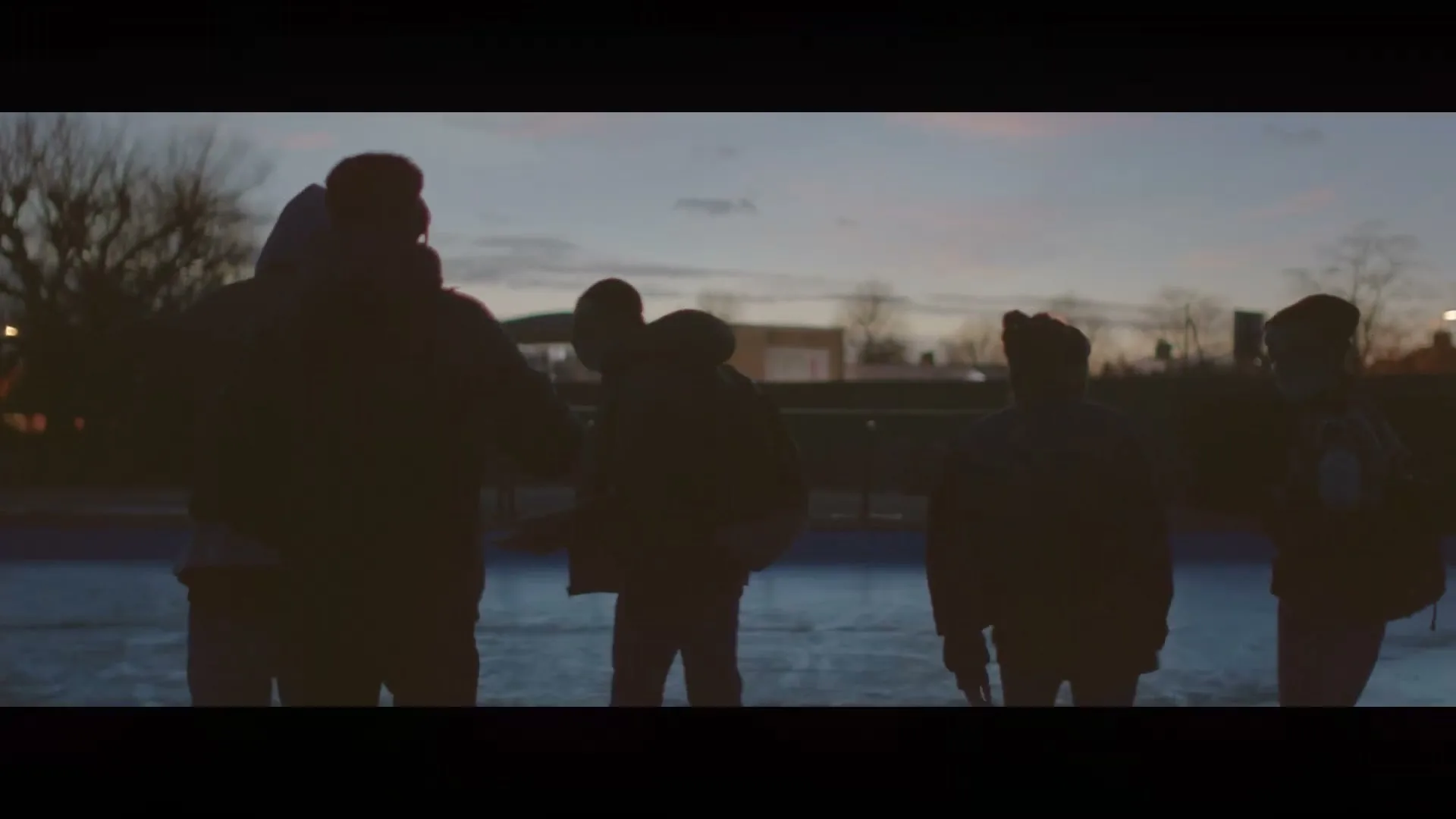 Five young people, silhouetted against the twilight sky, stand on a frozen body of water, looking into the distance.