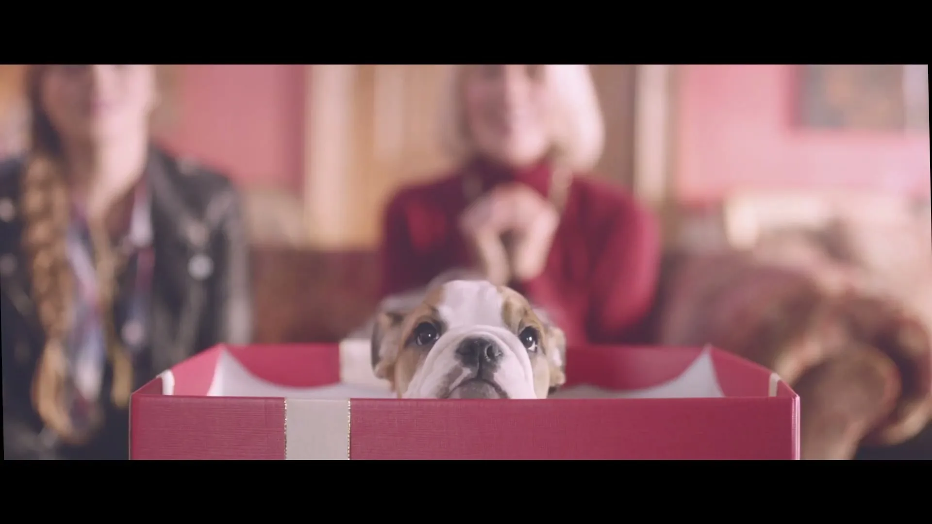A cute bulldog puppy peeks out of a red gift box, with two women blurred in the background, in a cozy living room.