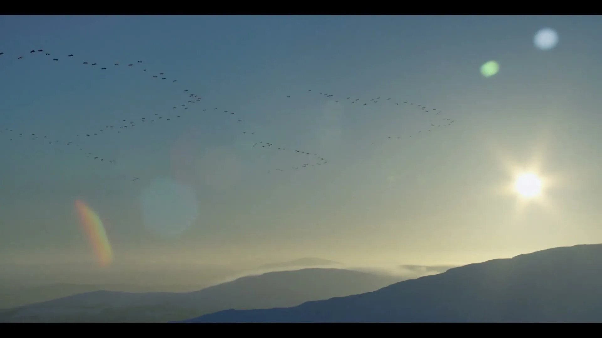 A flock of birds flies in a V-formation across a vast, clear sky, with the sun shining brightly over snow-covered mountains.