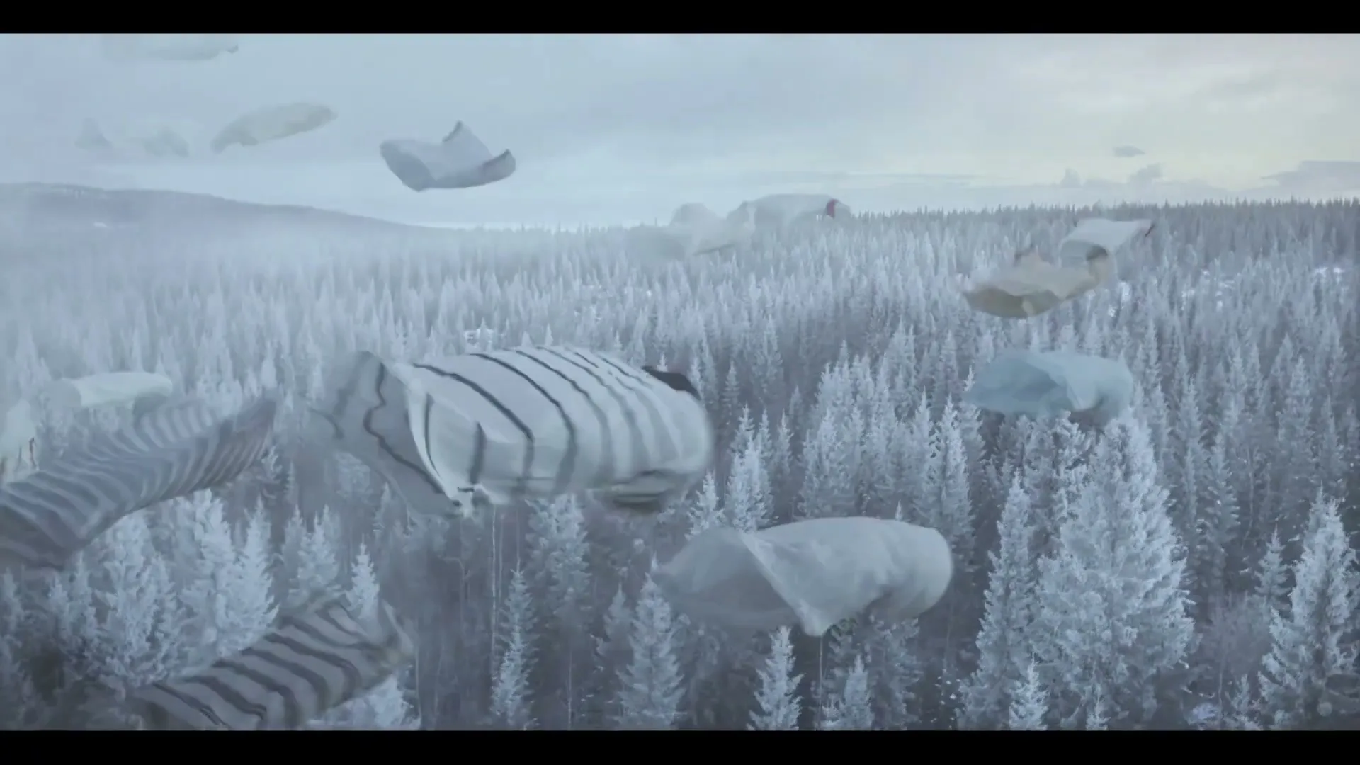 T-shirts shaped like animals float above a snow-covered forest, with a cloudy sky in the background.