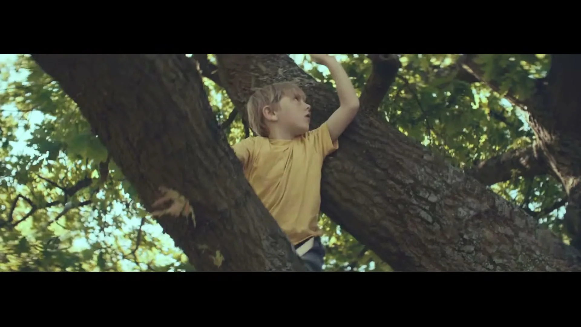 A young boy with blonde hair, wearing a yellow t-shirt, climbs a large tree, looking around with a curious expression.