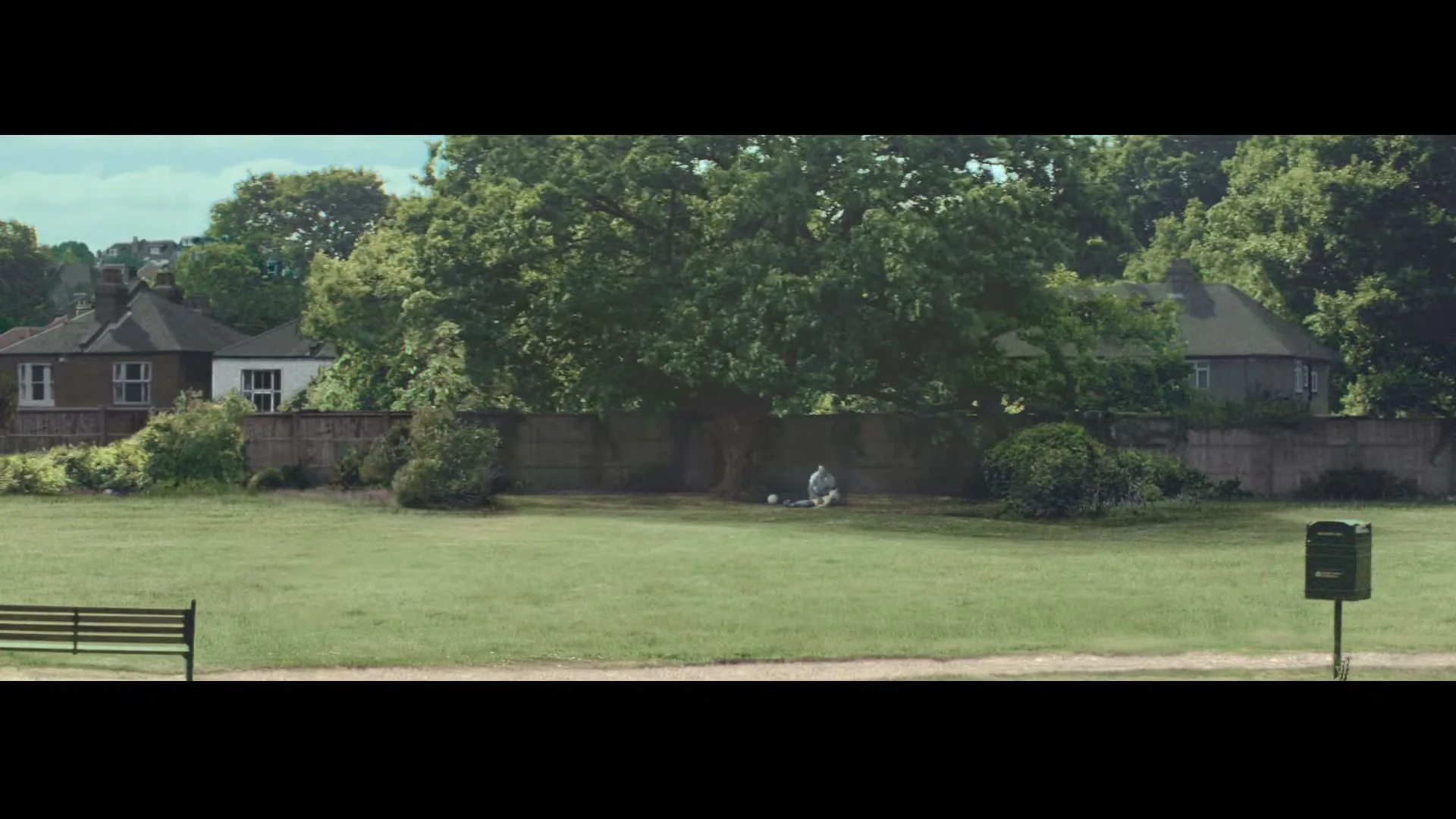 A wide shot shows a boy in a white shirt and blue shorts sitting under a large tree in a grassy park, with houses and fences in the background.