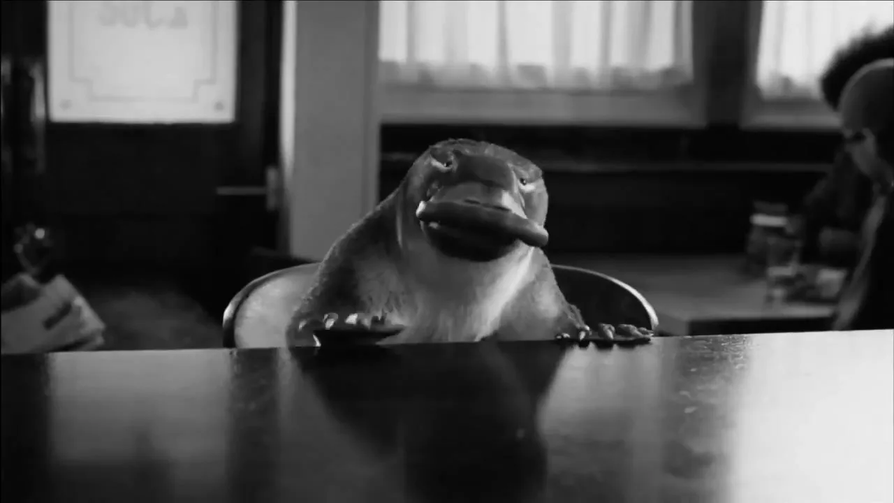 First Direct "Platypus" (2014) commercial still
