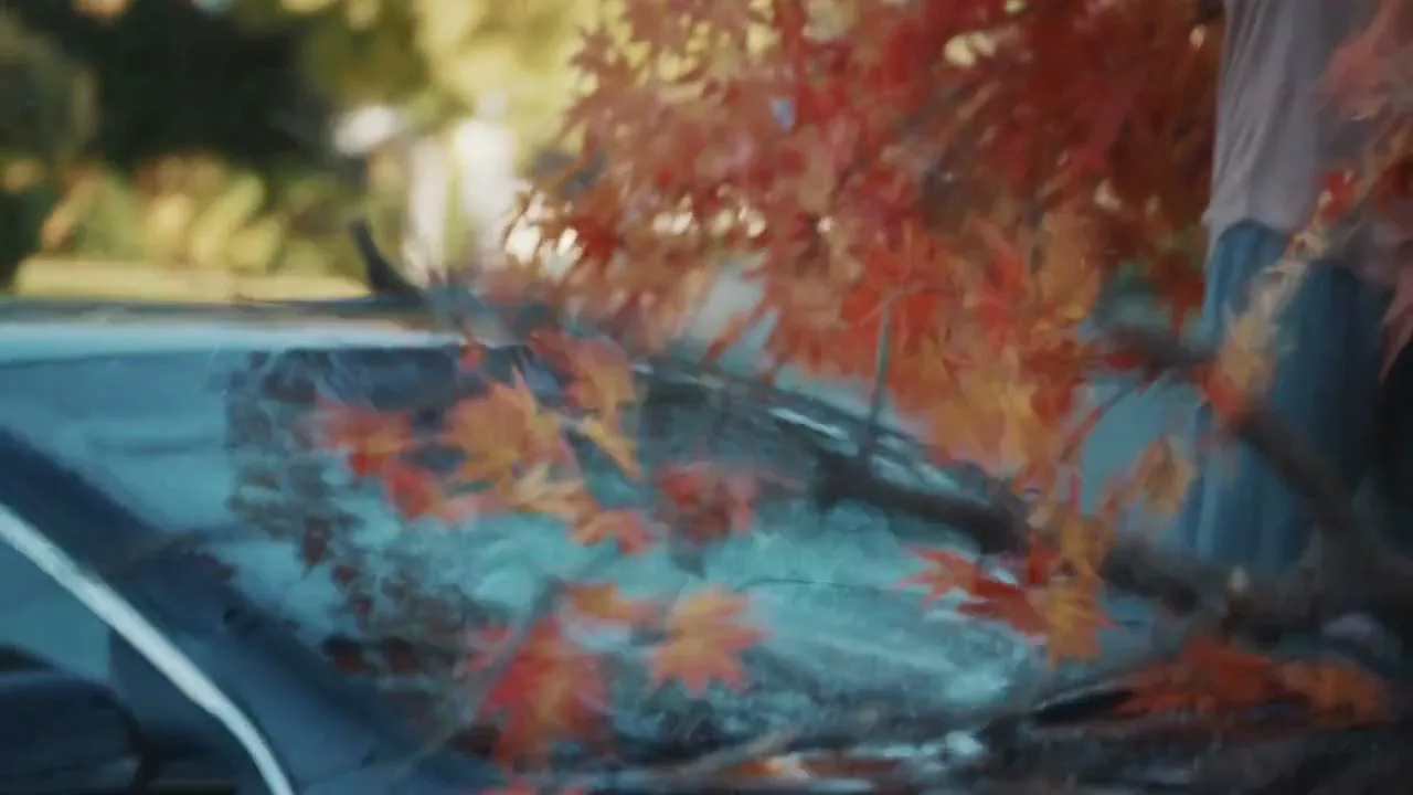State Farm “The Neighborhood - Sugar Maples” (2020)