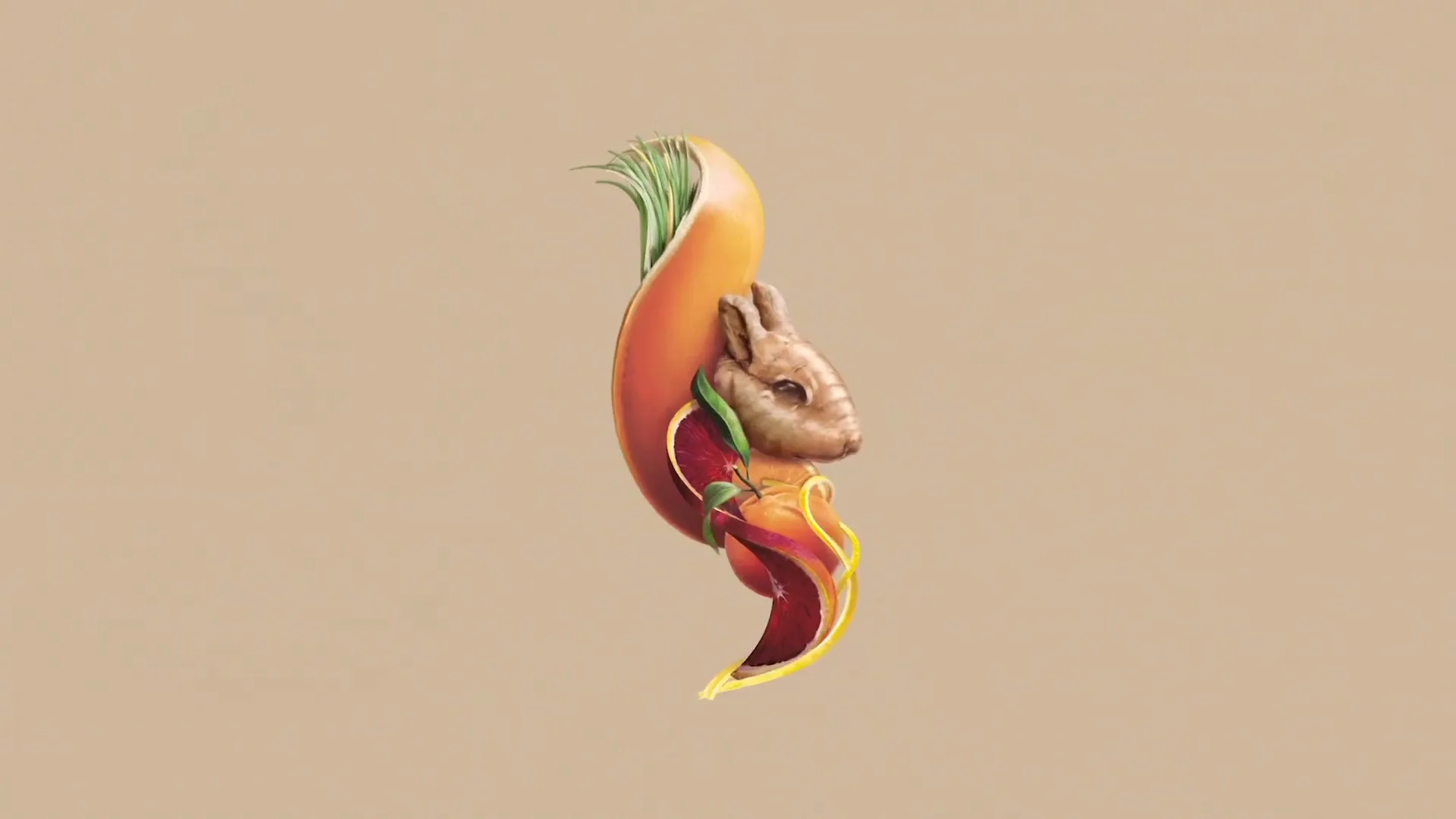 Seedlip “Hello Curious”, directed by Jonathan Jones