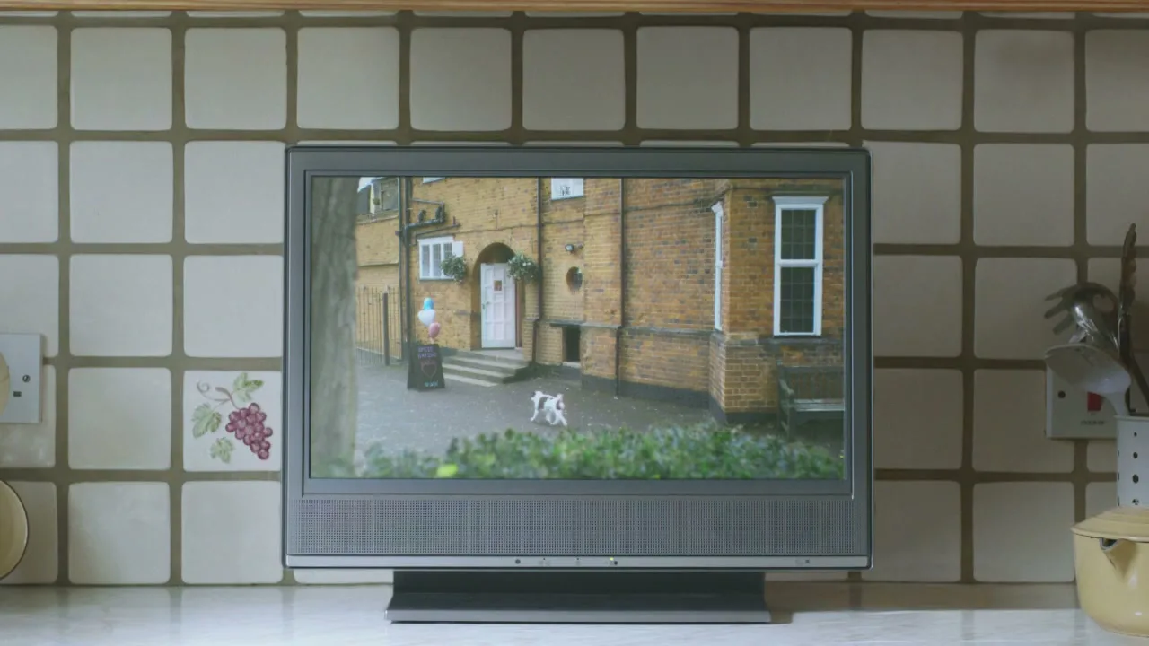 A small white dog walks across a paved area in front of a brick building, as seen on a TV screen in a kitchen.
