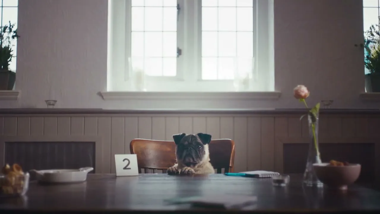 A pug dog sits at a table in a restaurant, looking directly at the camera with a sad expression.