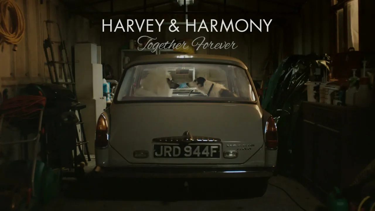 Thinkbox "Harvey" (2013) commercial still