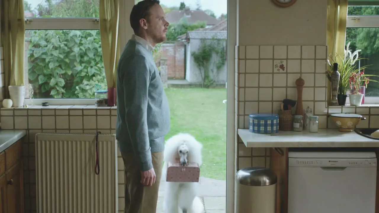 A man in a blue sweater and tan pants stands in a kitchen doorway, looking out at a garden, as a white poodle with a pink box in its mouth walks past him.