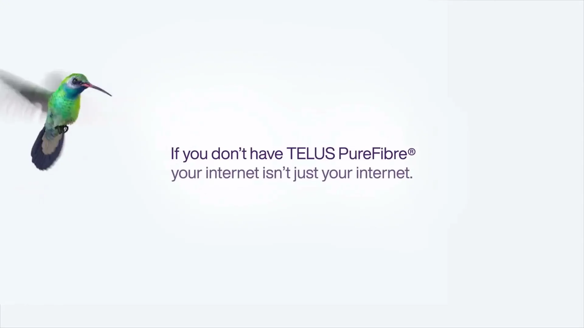 TELUS “You deserve PureFibre” (2025), frame 2