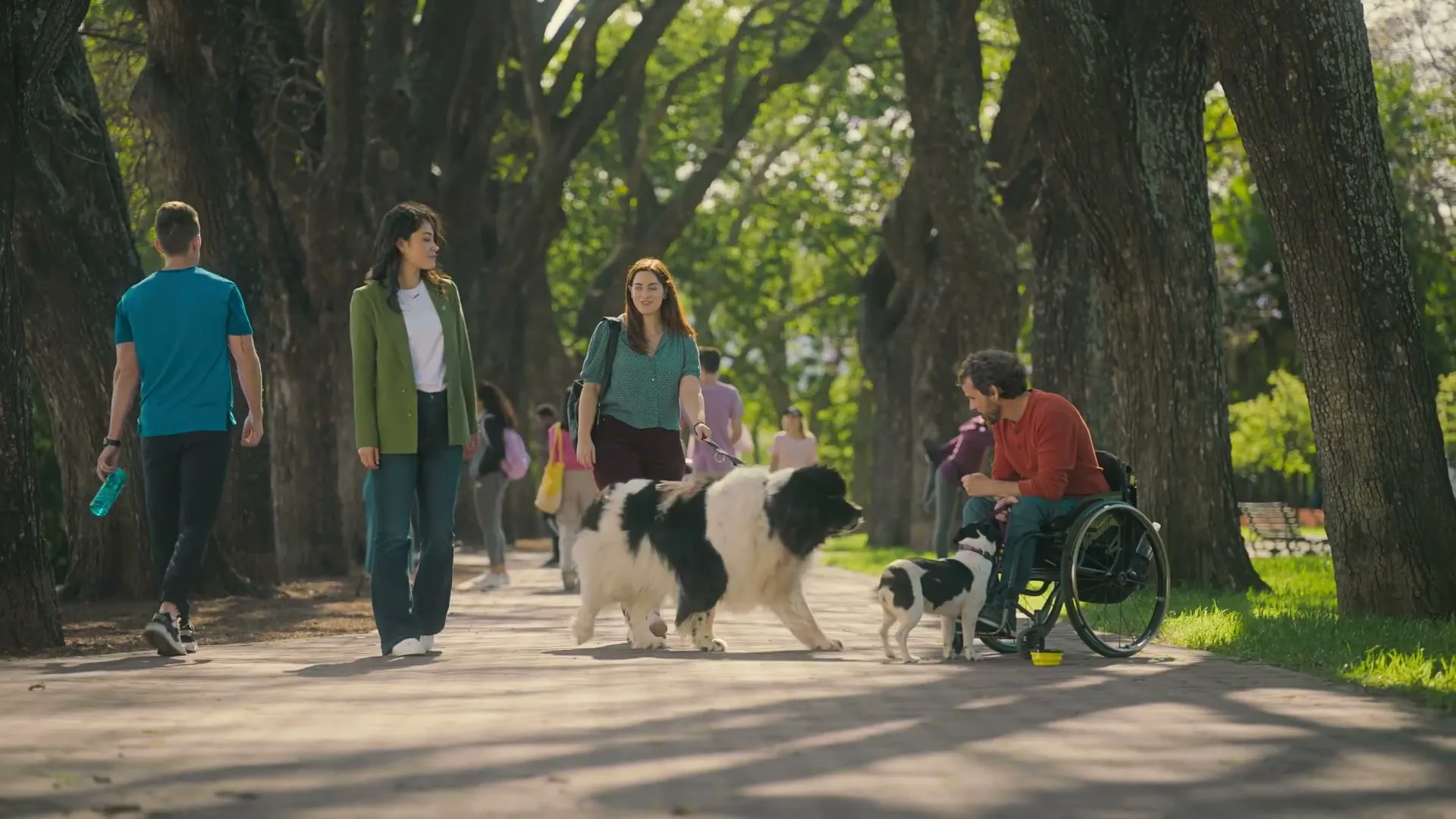 Berkshire Hathaway Home Services "Dog's Best Friend" (2024) commercial still