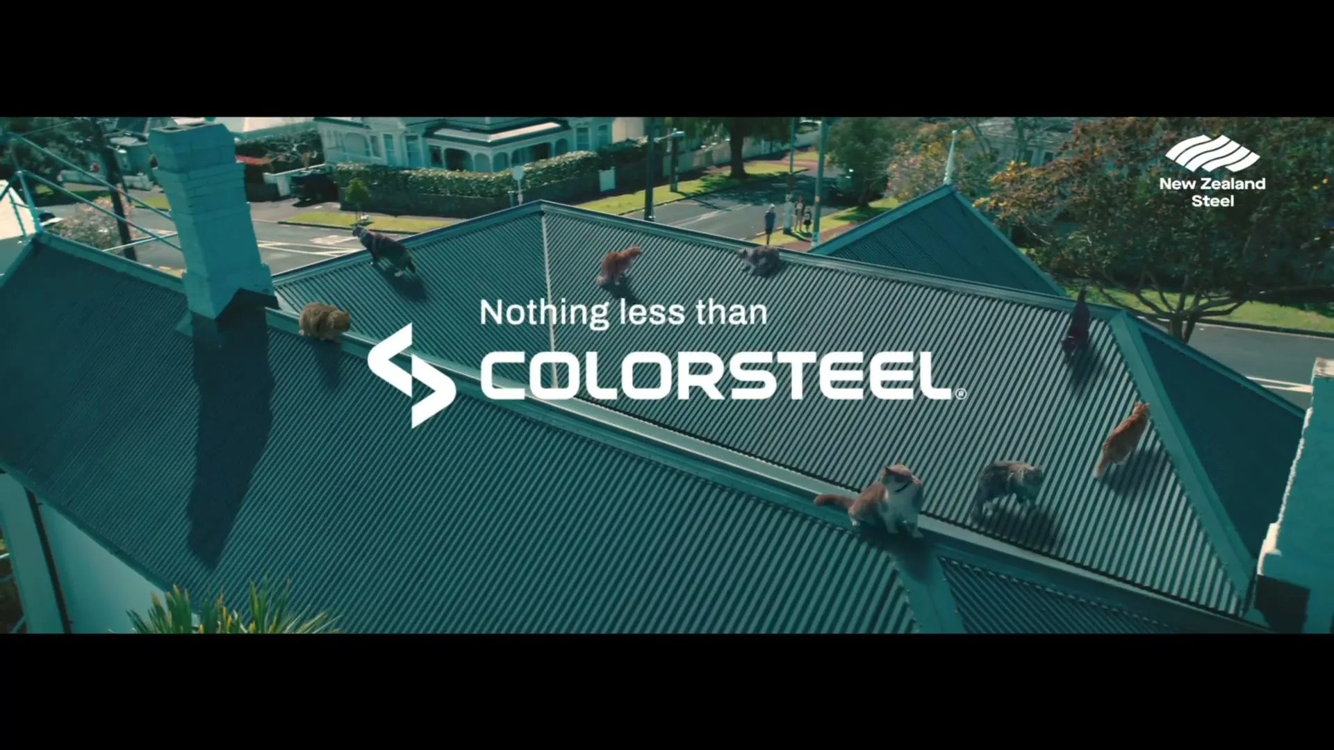 Colorsteel "Finding Bella" (2023) commercial still