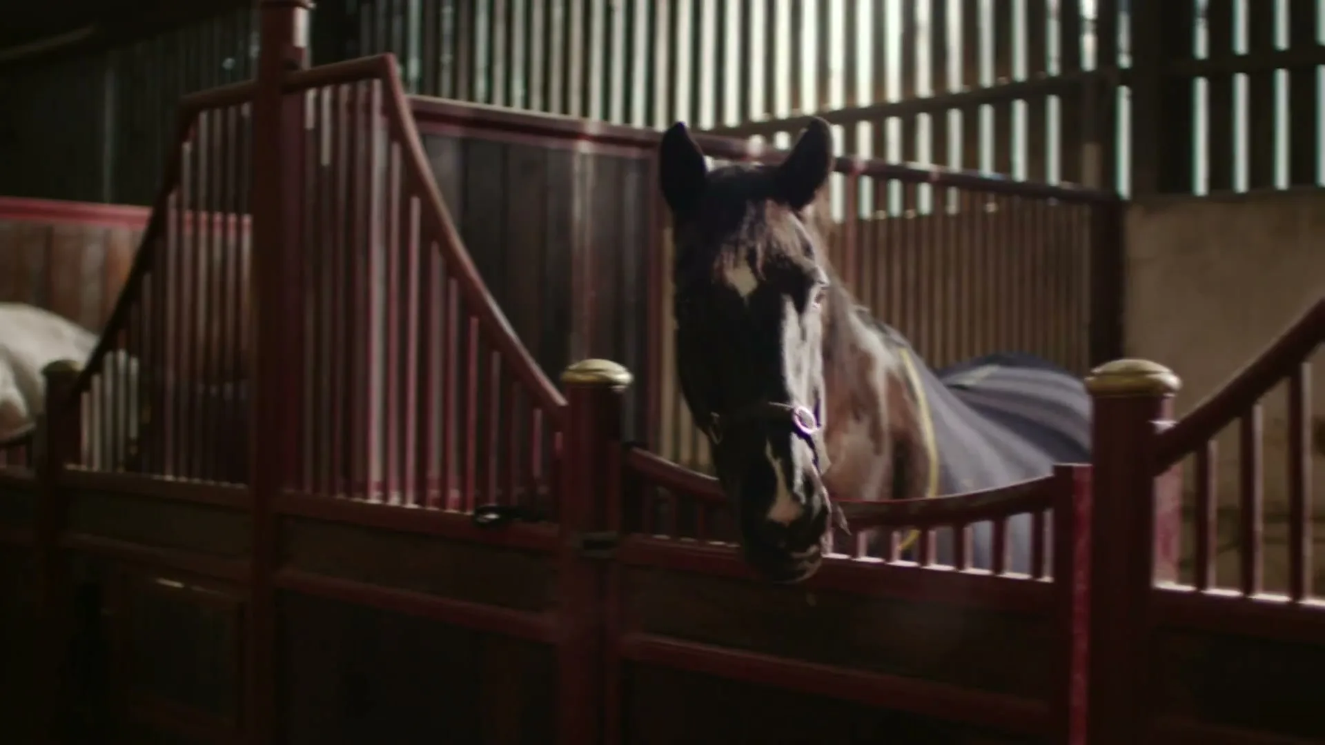 ITV “GRAND NATIONAL”, directed by Stephen Pipe