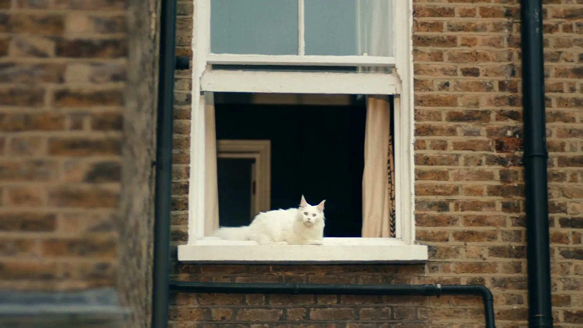 Boots “Spring Mission” (2024), frame 4