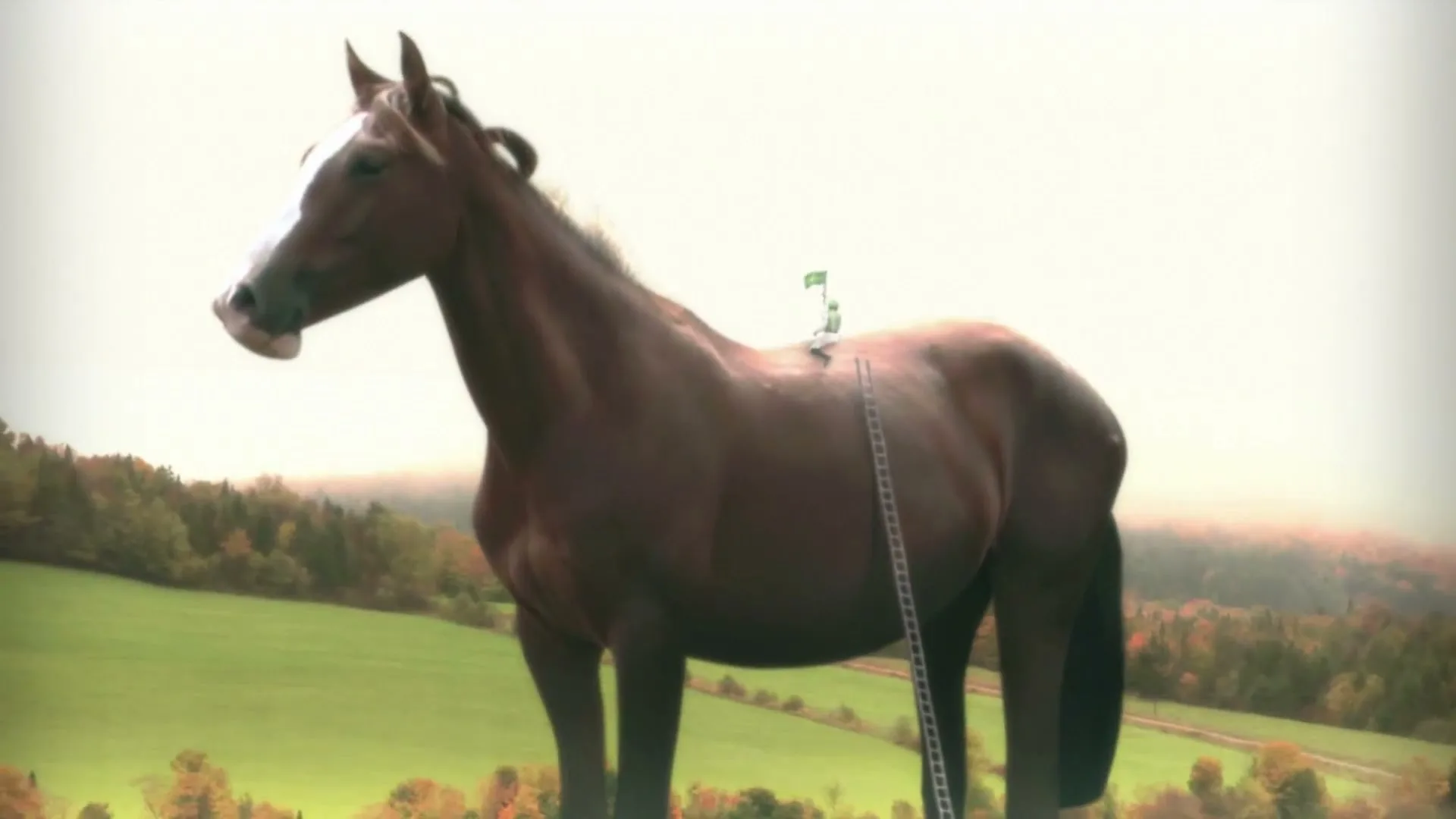 Paddy Power “Big Price Exhilaracing” (2015)