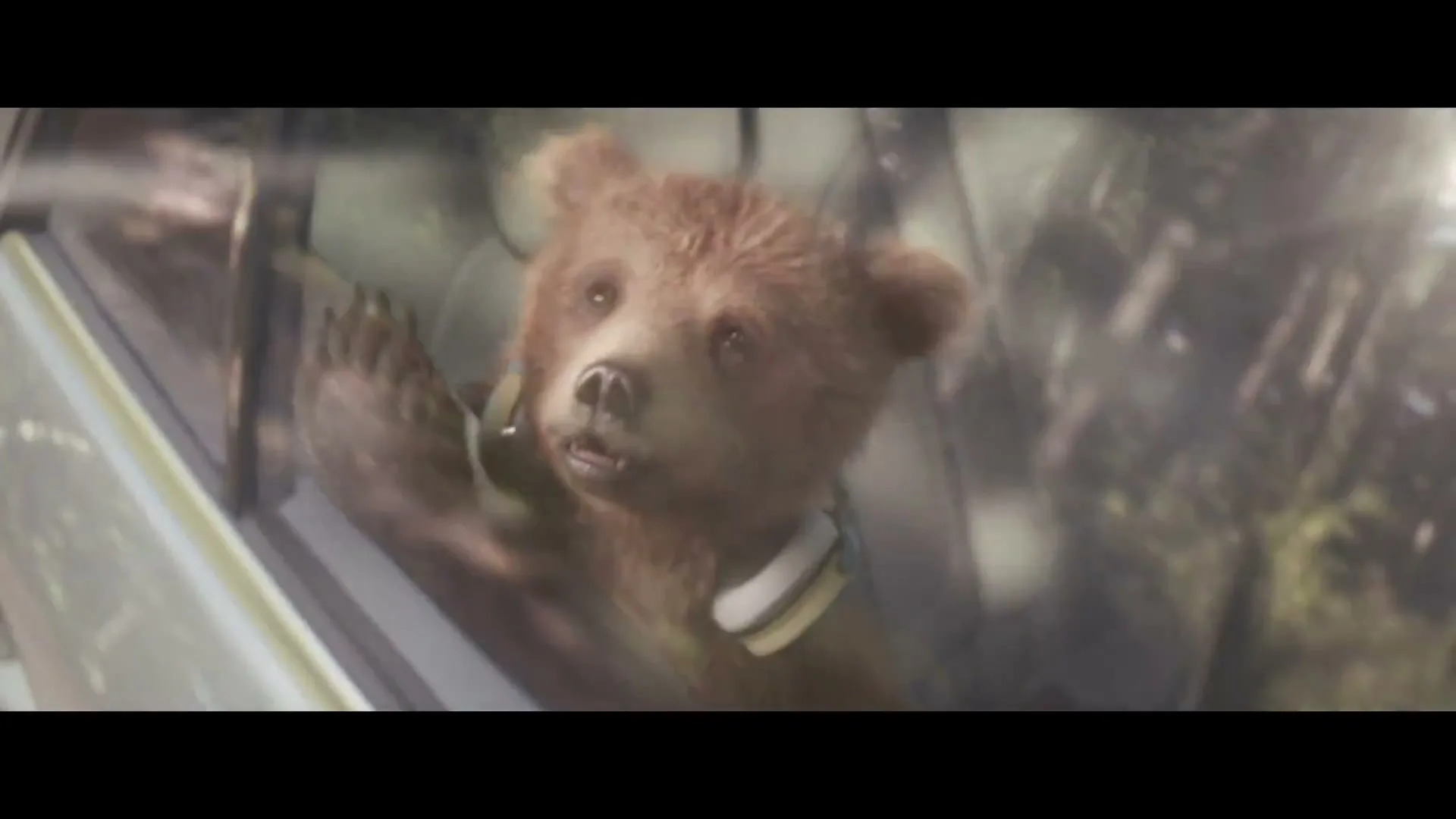 Center Parcs “Bears” (2026), frame 6