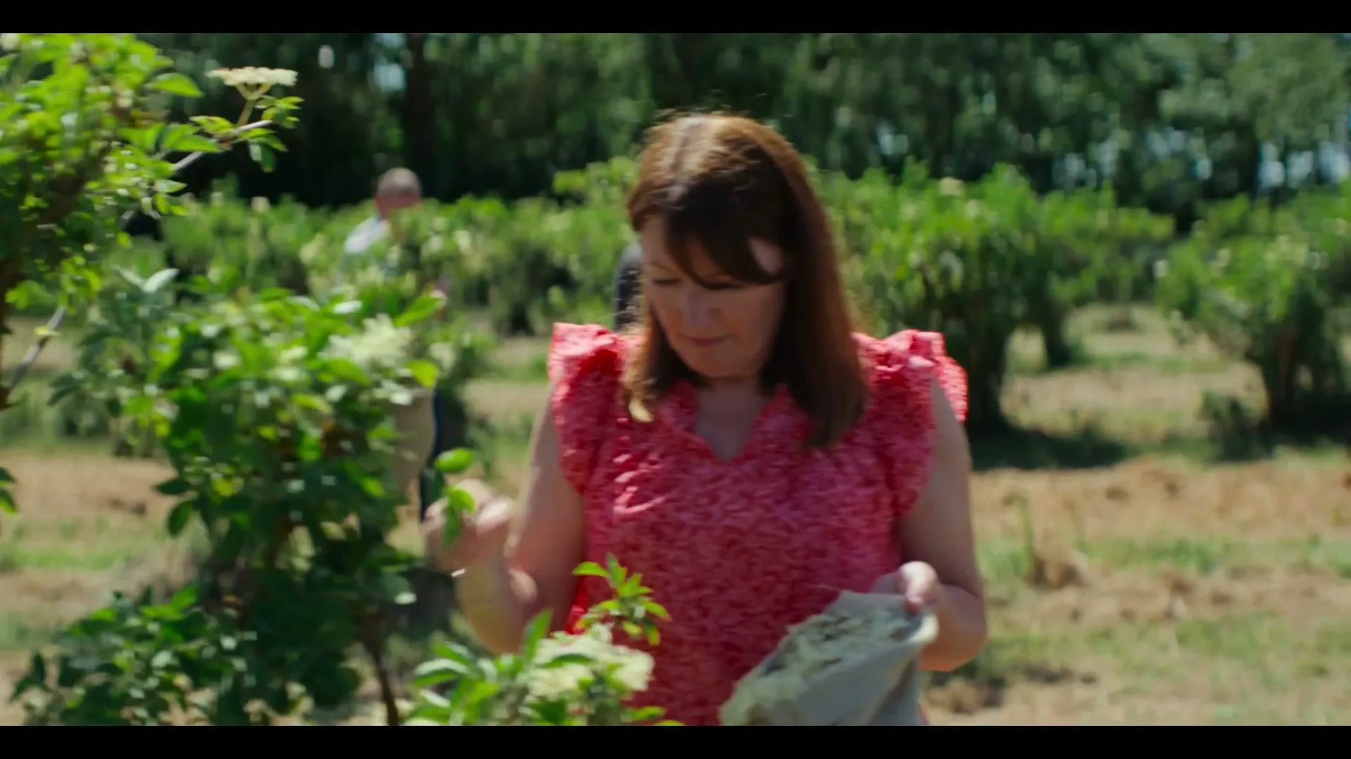 Belvoir Farm “Taste Obsessed” (2026), frame 3
