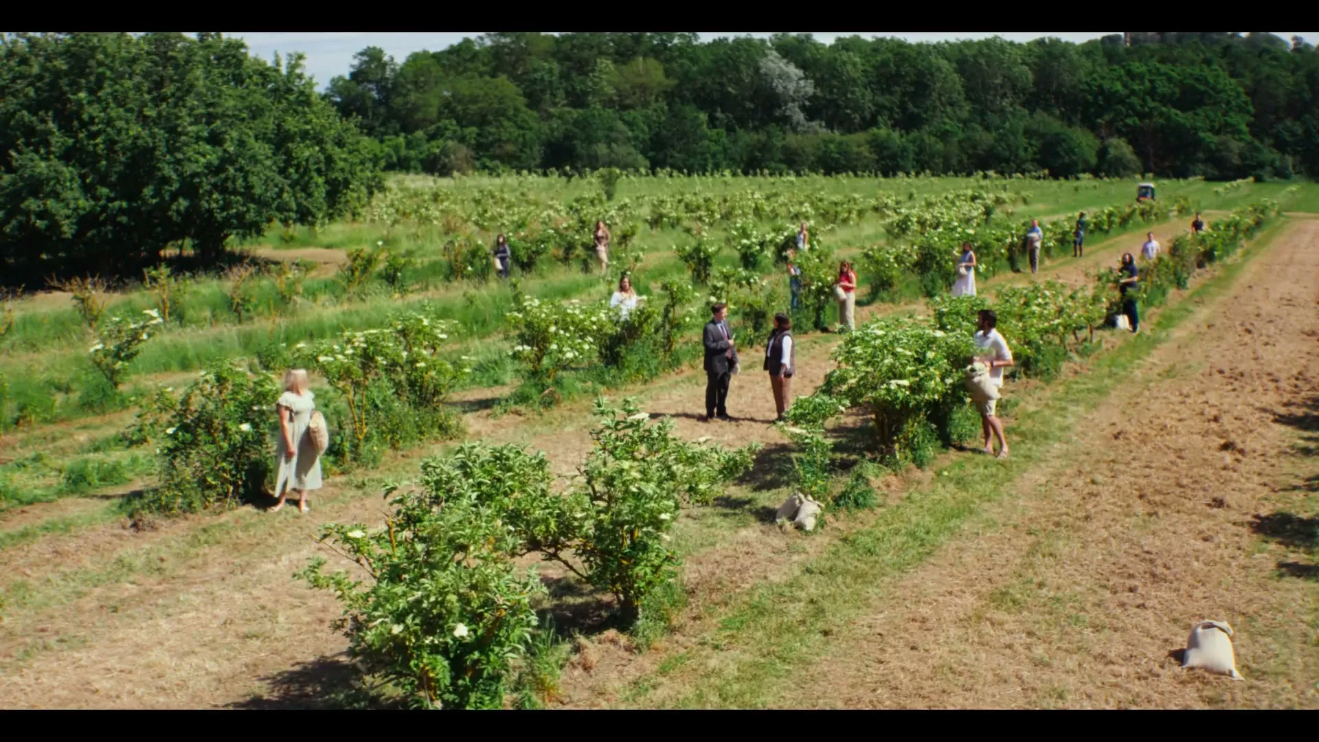 Belvoir Farm “Taste Obsessed” (2026), frame 5