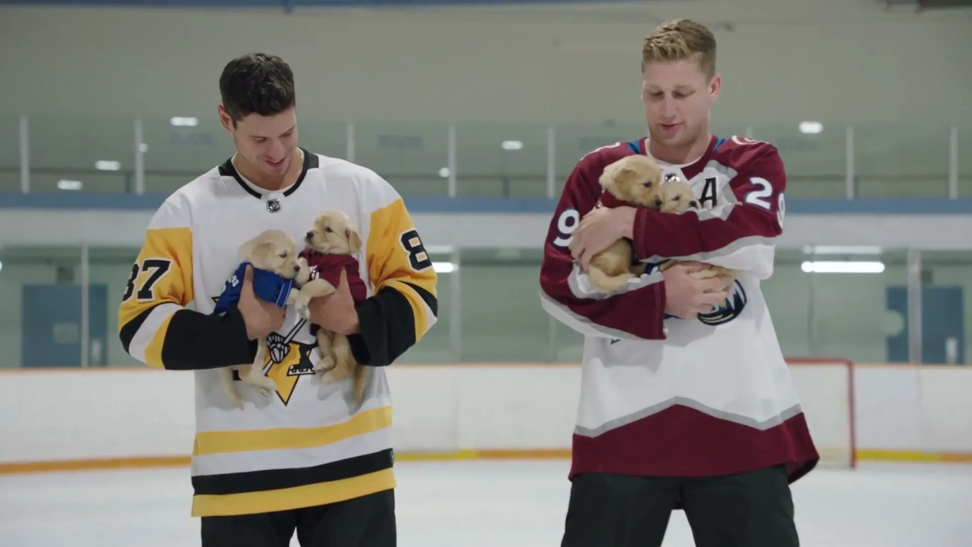 Tim Hortons “Ask A Timbit” (2023), frame 2