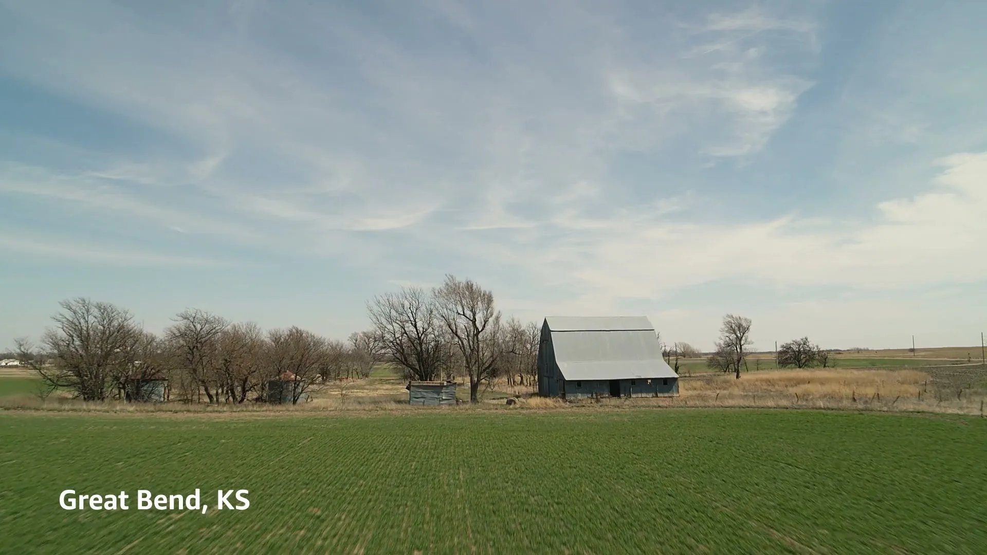 Amazon “Pawstruck”, directed by Amy Nicholson