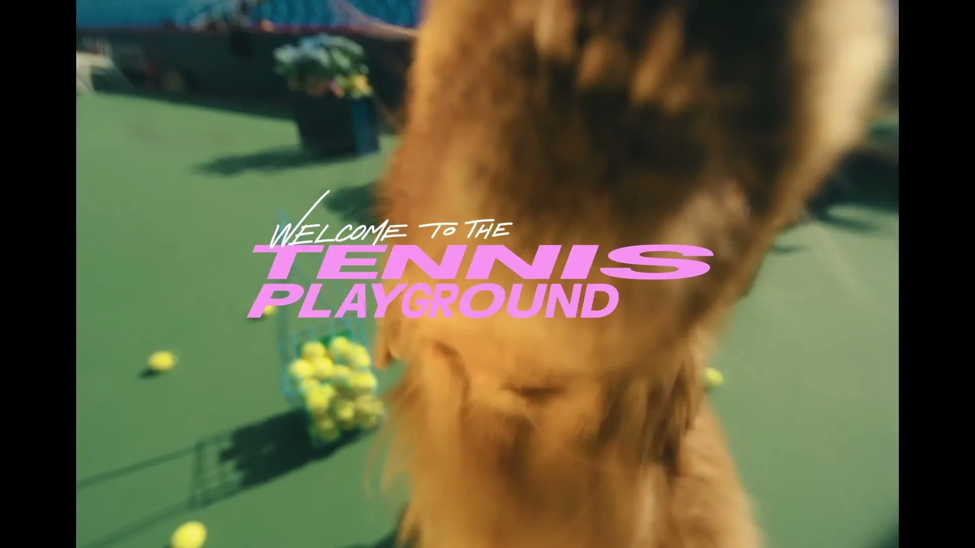 Tennis Canada "Dog" (2025) commercial still