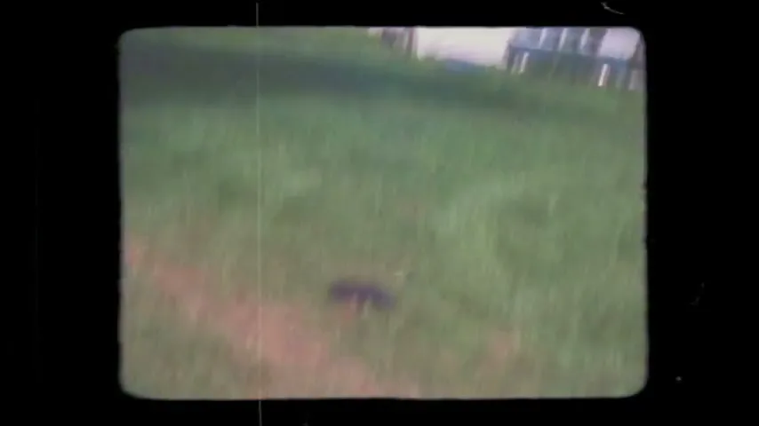 A small, colorful parachute with a package attached falls from the sky and lands on a grassy lawn.