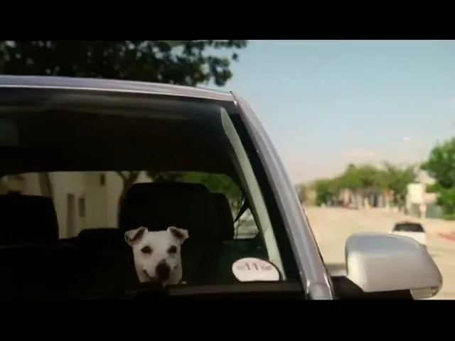 VOLKSWAGEN POLO “Dog” (2009), frame 2