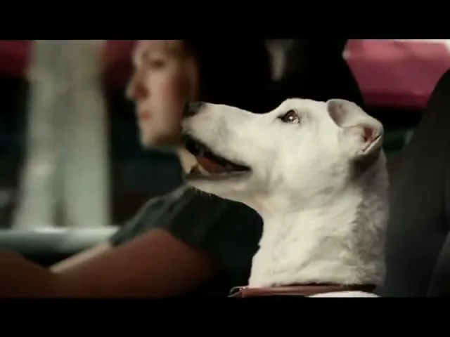 VOLKSWAGEN POLO “Dog” (2009), frame 4