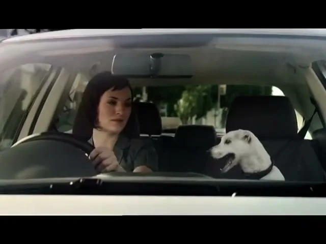 VOLKSWAGEN POLO “Dog” (2009), frame 6