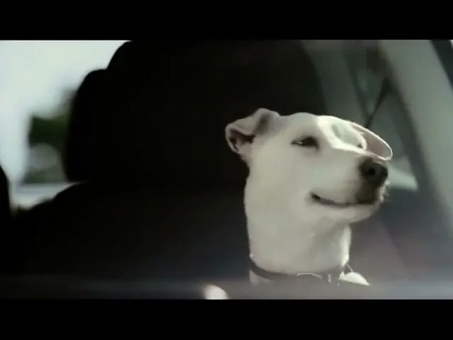 VOLKSWAGEN POLO "Dog" (2009) commercial still