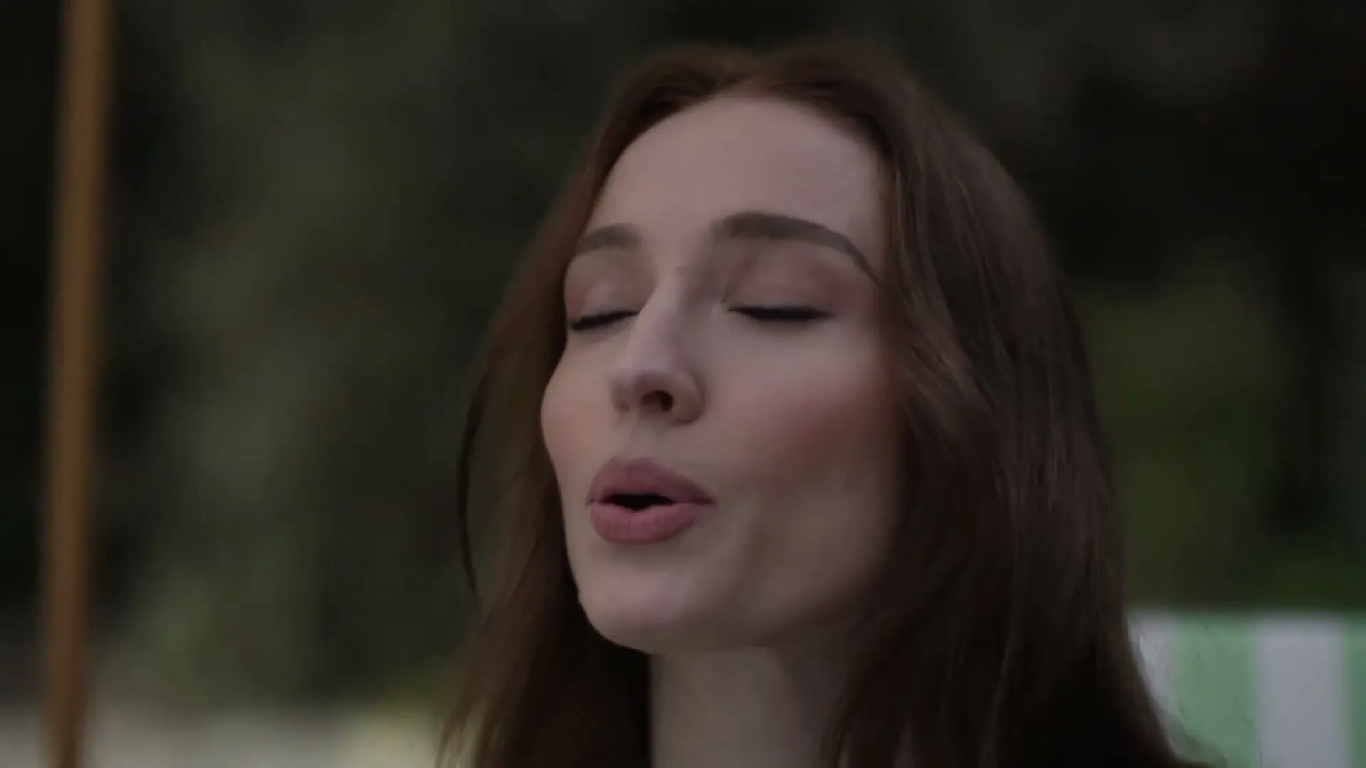 ST-GERMAIN "Delight in Life" (2026) commercial still