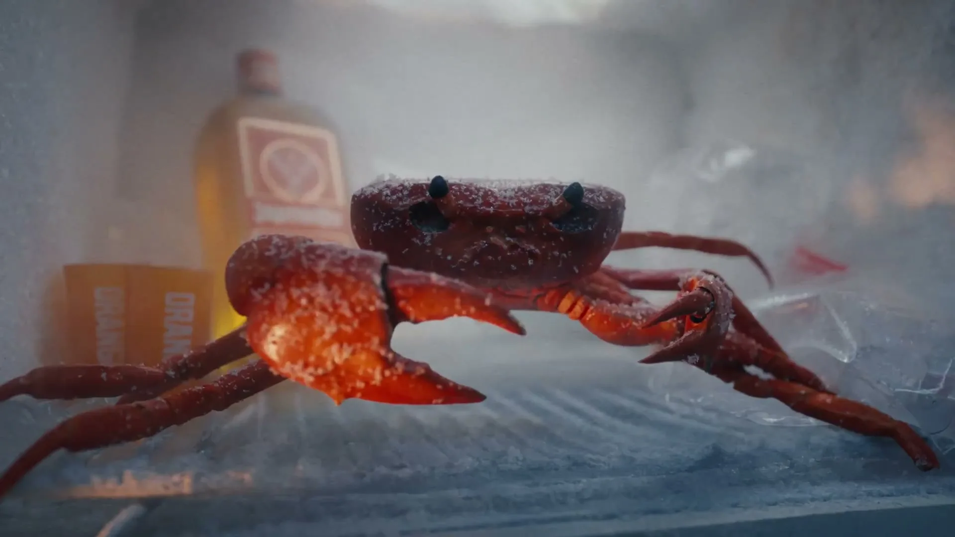 Jägermeister “Orange - The Crab” (2026), frame 4