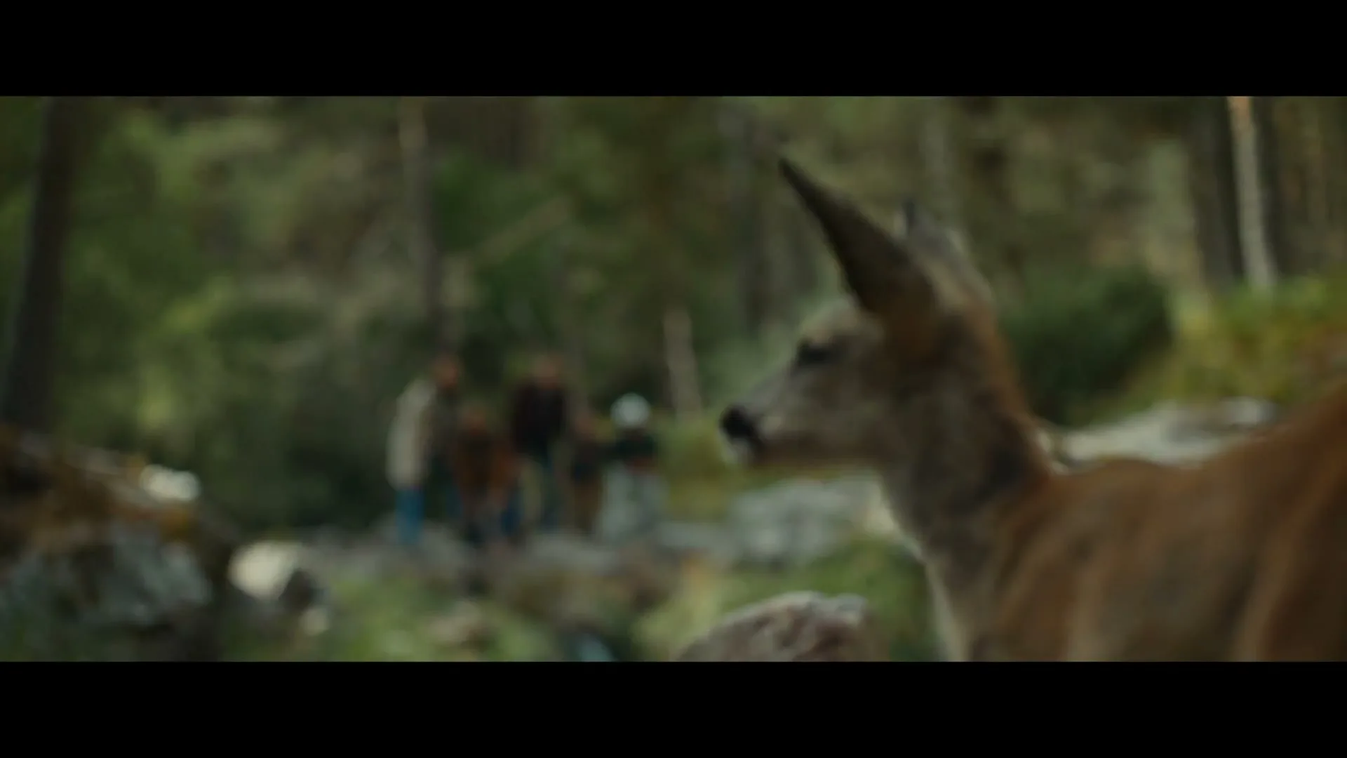 Renault “Enjoy the silence”, directed by Juan Poclava