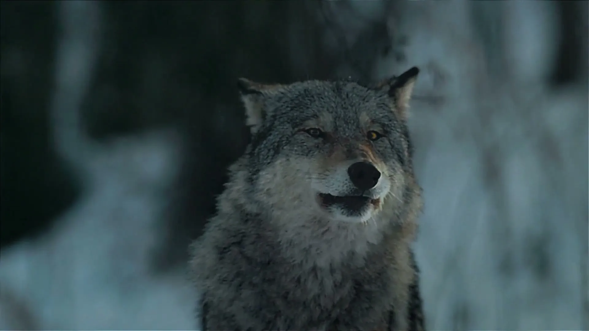 Suburu Canada “Subaru - Way more funner”, directed by Dave Ma