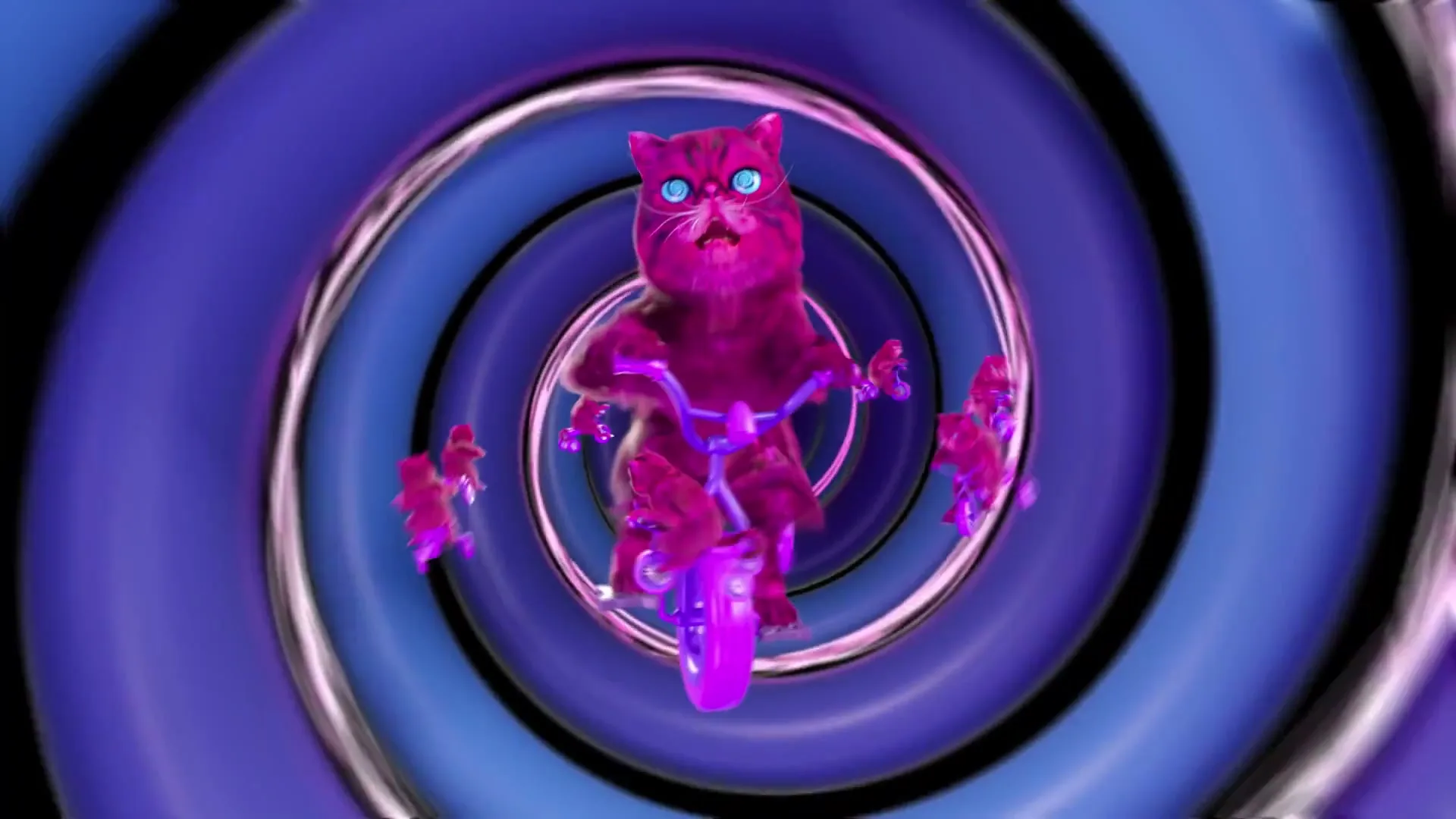 Material Focus "HypnoCat" (2023) commercial still