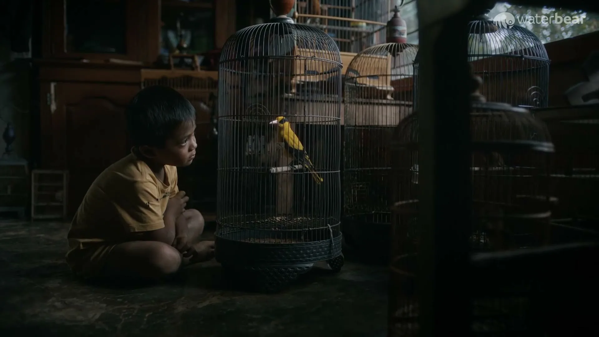 WaterBear "Broken Wings" (2023) commercial still