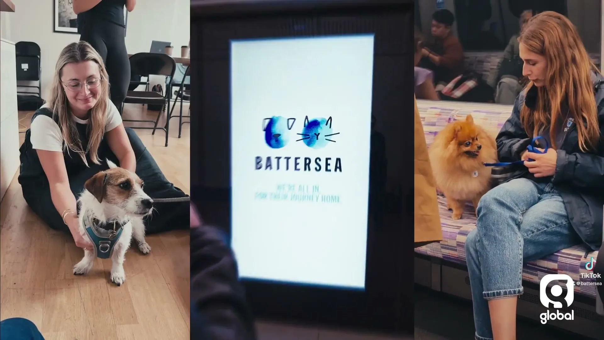 Battersea "Look Ahead Competition Winner" (2025) commercial still