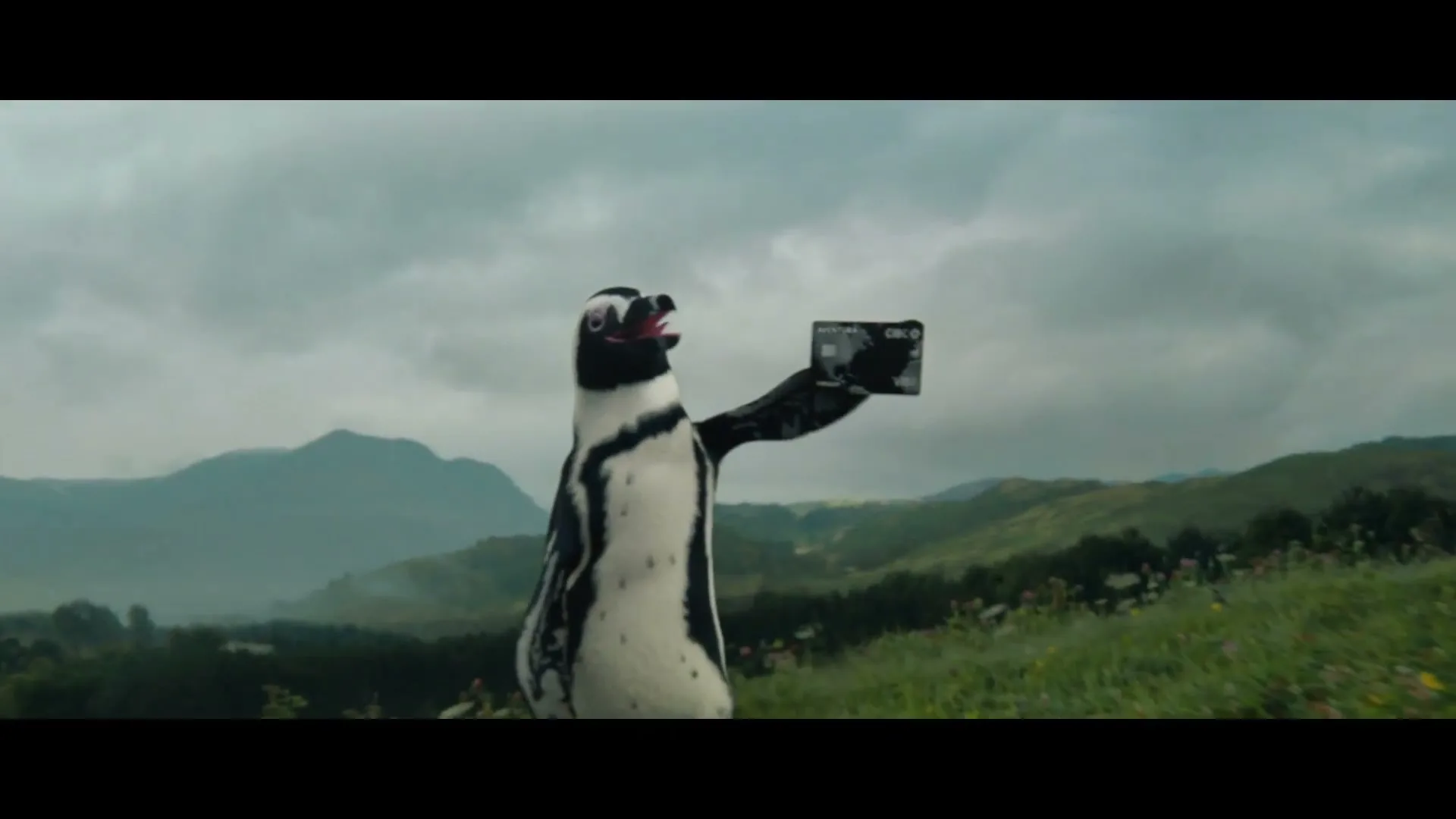 CIBC - Aventura Card "CIBC - Aventura Card - Charge Of The Penguins" (2022) commercial still