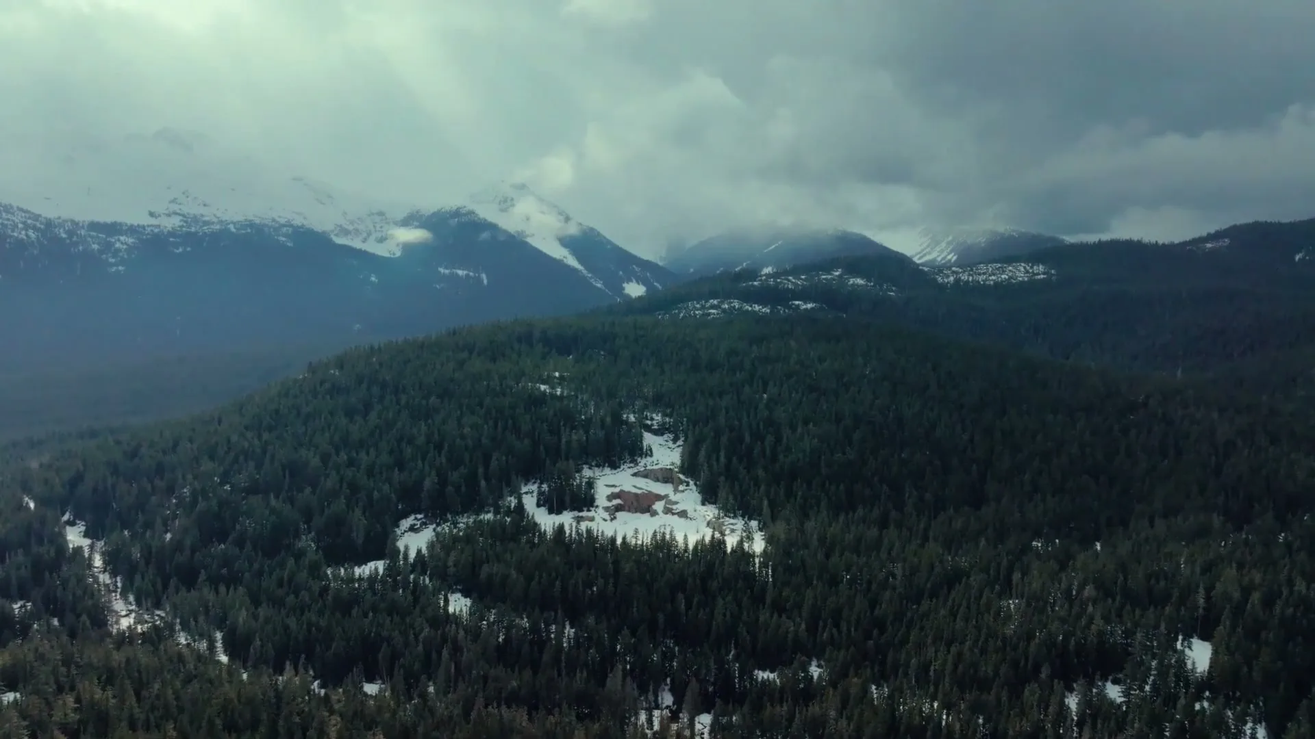 Petro-Canada “It’s No Time to Hibernate” (2026), frame 2