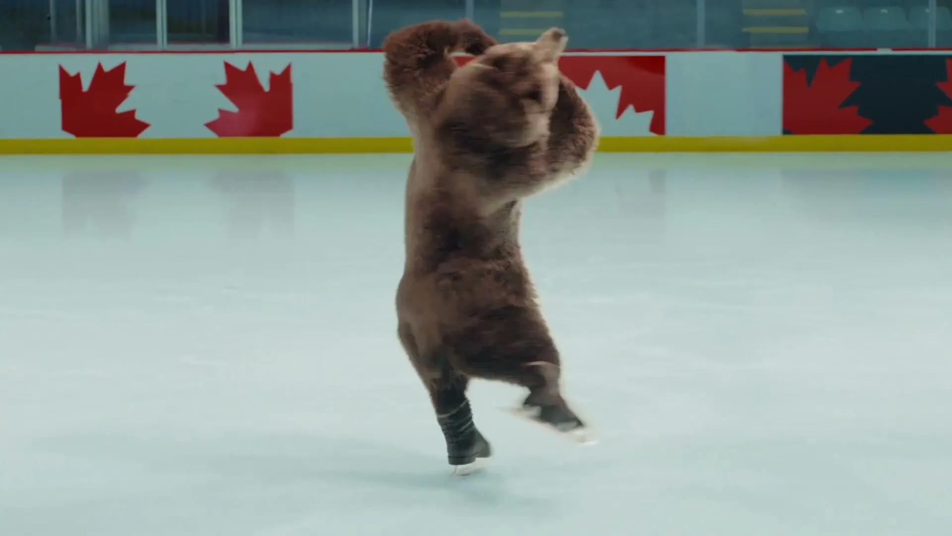 Petro-Canada “It’s No Time to Hibernate” (2026), frame 5